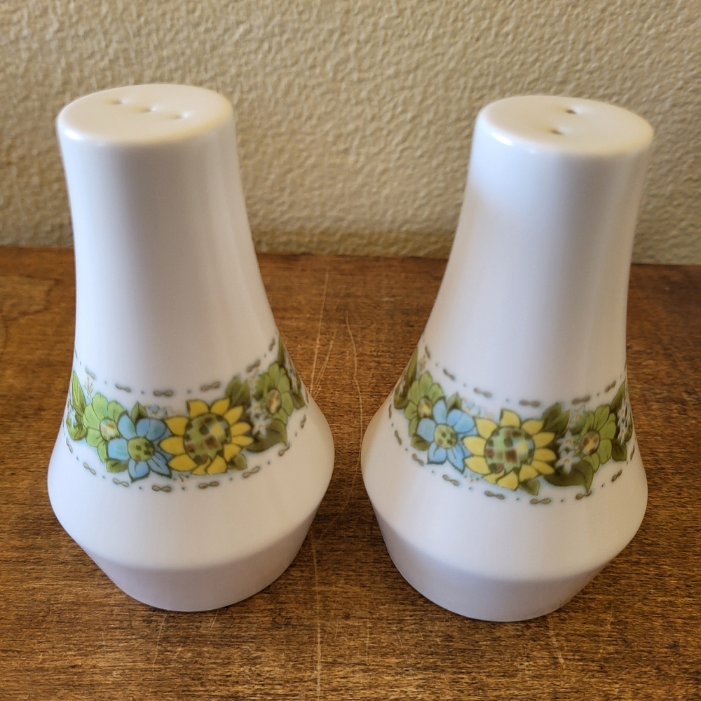 Vintage 1970s Noritake Springfield Progression Salt and Pepper Shaker Set.